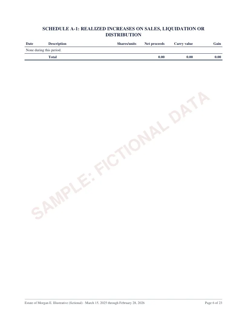 Page 6 of the New York estate accounting sample